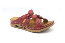 CF-8276 MAROON