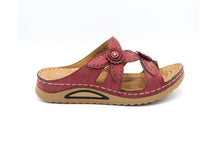 CF-8276 MAROON